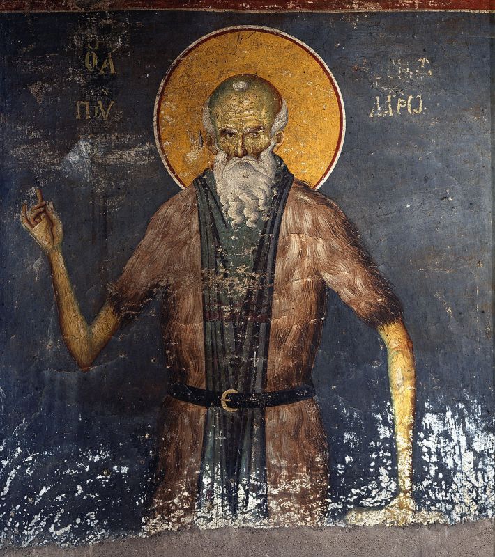 Прп. Павла Латрийского (955)