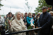            100-  