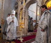 ������. �������������� ����. ������� �������