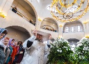 ������. �������������� ����. ������� �������