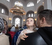 ������. �������������� ����. ������� �������